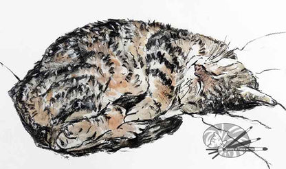 Dreaming Cat
