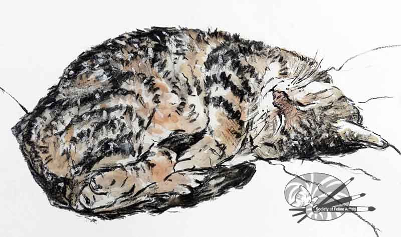 Dreaming Cat
