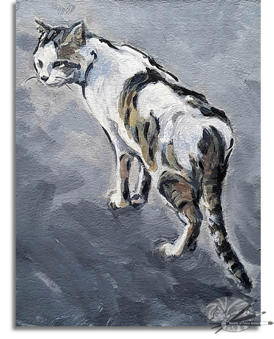 Interested Cat