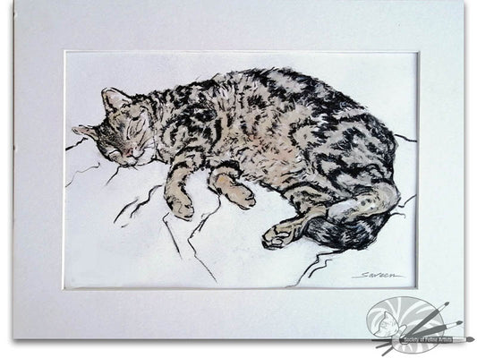 Cat on Settee