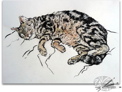 Cat on Settee