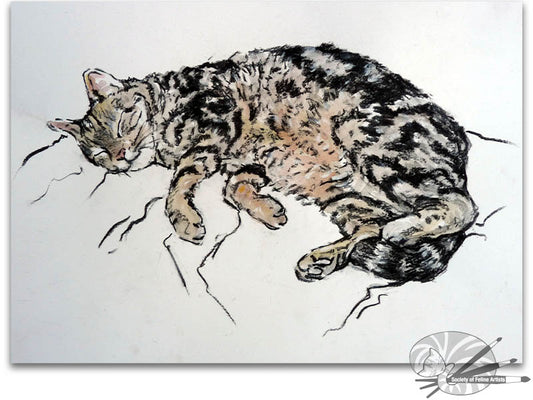 Cat on Settee