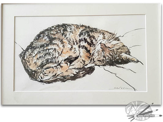 Dreaming Cat