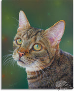 Load image into Gallery viewer, I'm So Pretty
