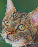 Load image into Gallery viewer, I'm So Pretty
