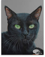Load image into Gallery viewer, A detailed painting of a black cat with green eyes on a gray background
