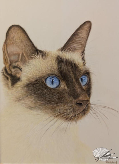 Beautiful blue eyes