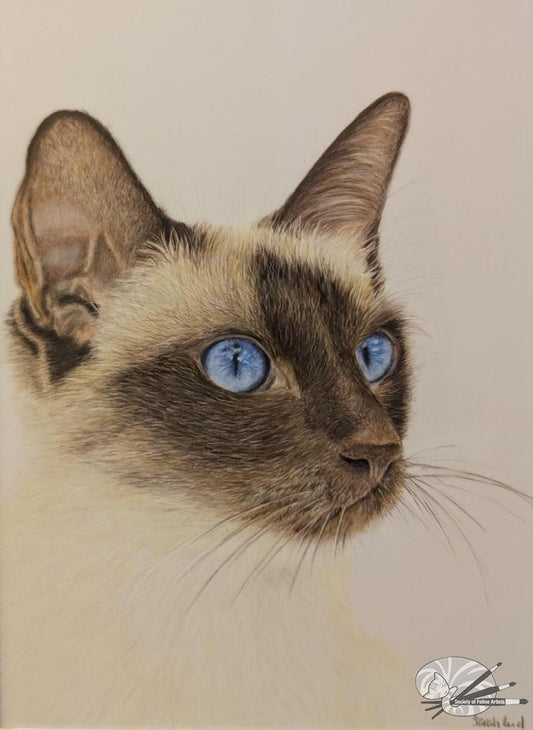 Beautiful blue eyes