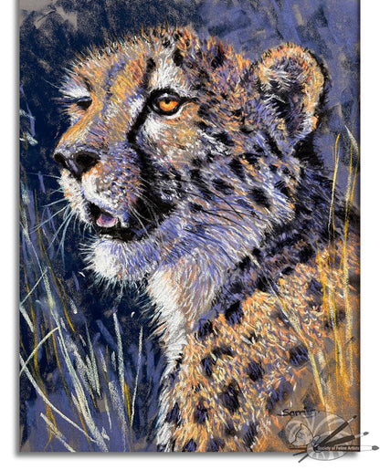 Cheetah
