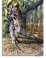 Load image into Gallery viewer, Coat of Many Colours
