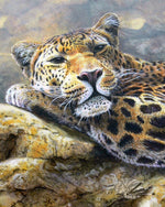 Load image into Gallery viewer, Taking it Easy - Limited Edition Print
