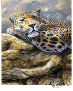 Load image into Gallery viewer, Taking it Easy - Limited Edition Print
