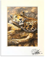 Load image into Gallery viewer, Taking it Easy - Limited Edition Print
