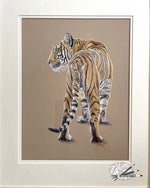 Load image into Gallery viewer, Tigers Tail

