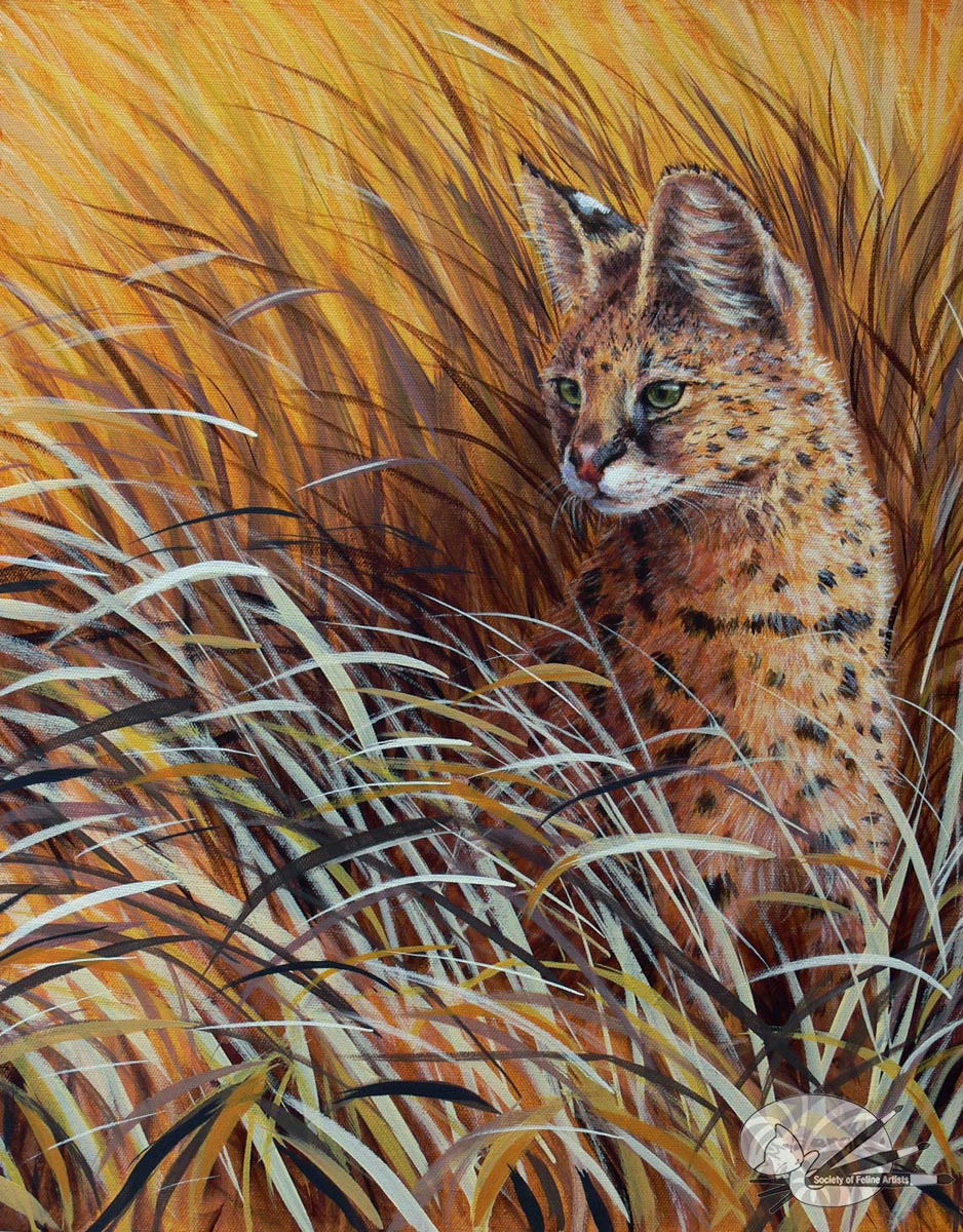 Serval in Grass