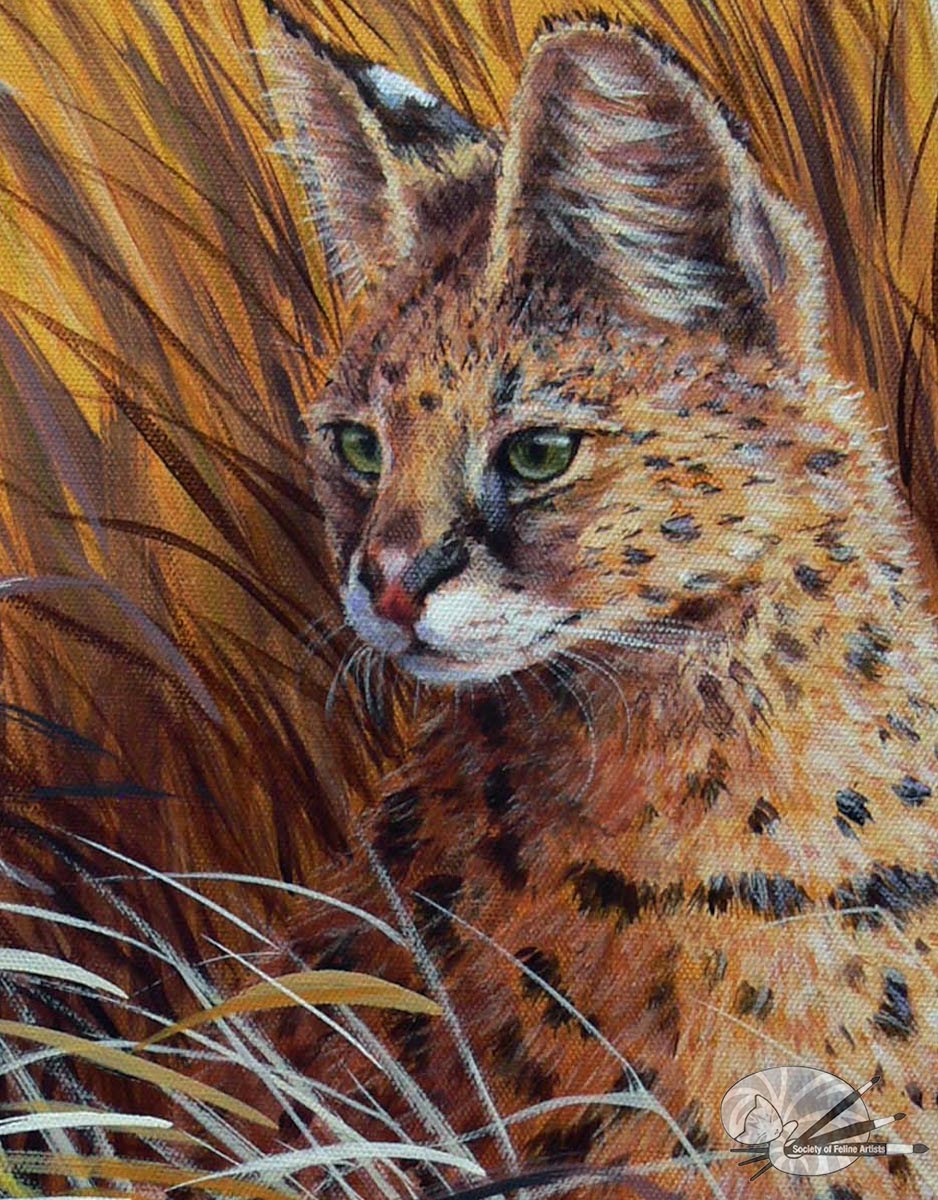 Serval in Grass