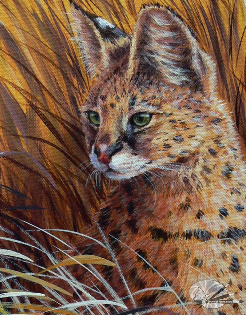 Serval in Grass