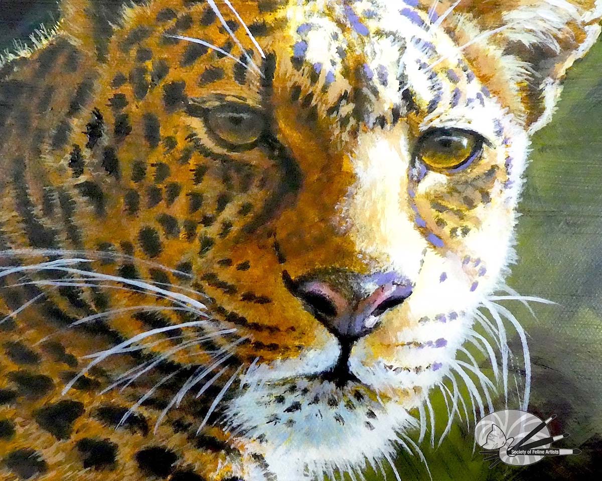 Close-up of a leopard's face with detailed fur and expression
