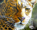 Load image into Gallery viewer, Close-up of a leopard&#39;s face with detailed fur and expression
