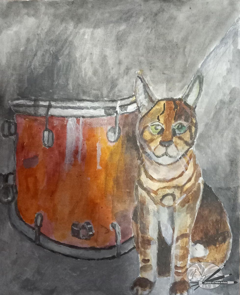 Cat with drum