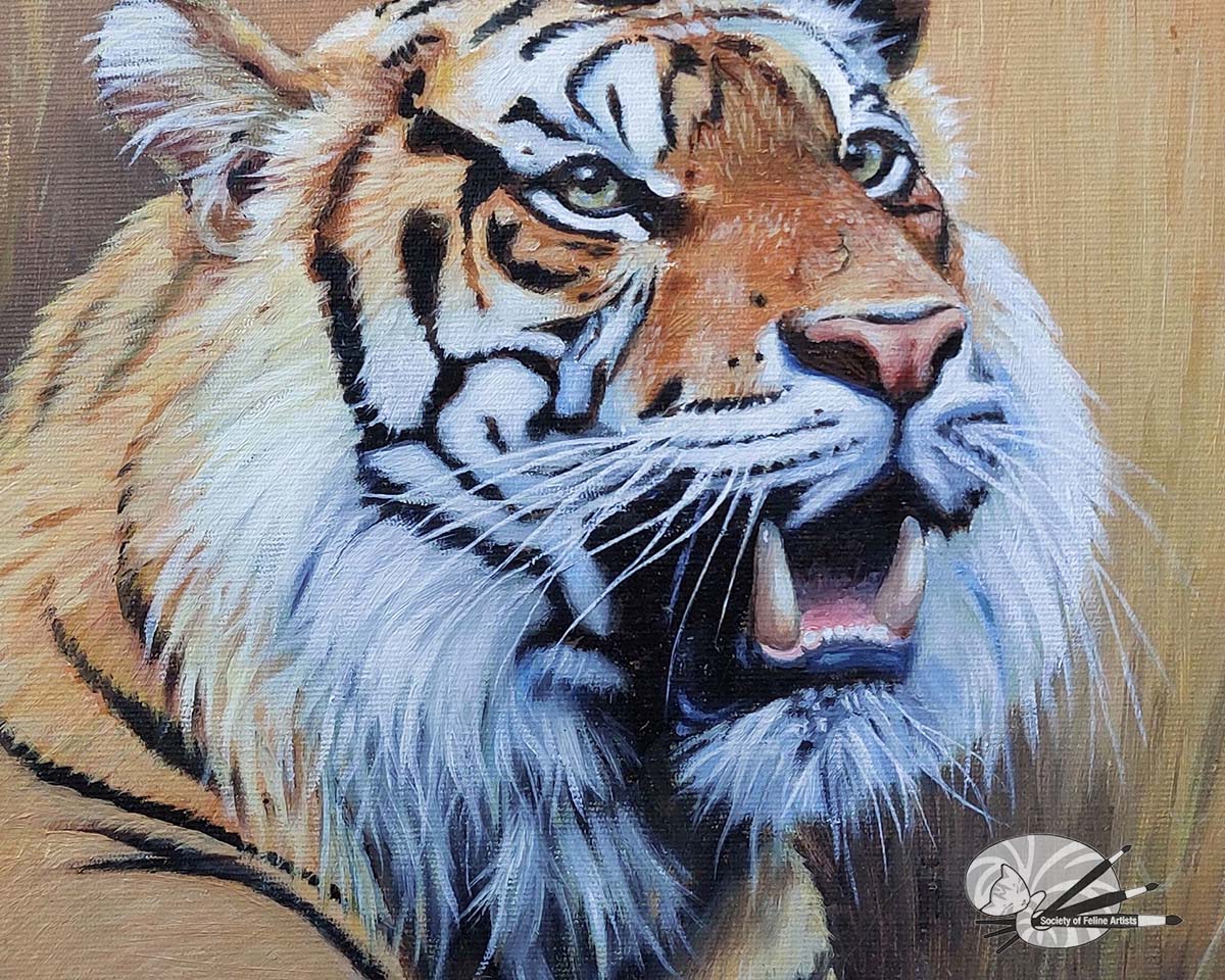 Ready for another exciting day