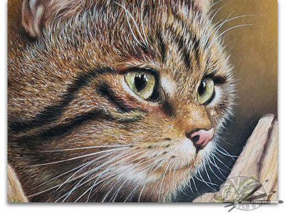 Wild Cat On The Prowl