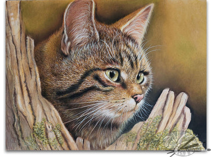 Wild Cat On The Prowl