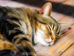 Load image into Gallery viewer, Hot Spot - Limited Edition Print
