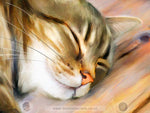 Load image into Gallery viewer, Hot Spot - Limited Edition Print
