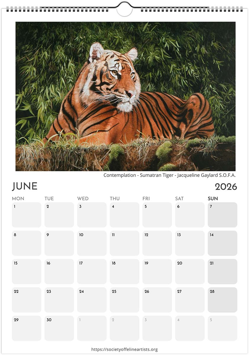 Calendar page for June 2026 featuring a Sumatran tiger in a natural setting.