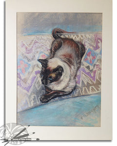 Bob The Cat Relaxing On A Coloured Mat