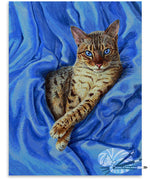 Load image into Gallery viewer, Blue Velvet
