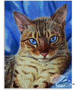 Load image into Gallery viewer, Blue Velvet
