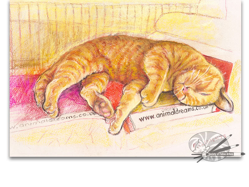 Ginger Cat Dreaming