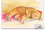 Load image into Gallery viewer, Ginger Cat Dreaming
