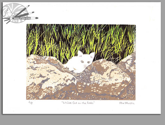 White Cat On The Rocks - Original Print