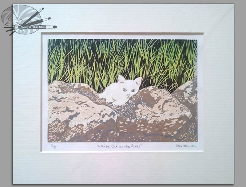 White Cat On The Rocks - Original Print