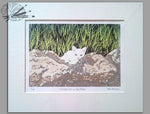 Load image into Gallery viewer, White Cat On The Rocks - Original Print
