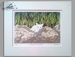 White Cat On The Rocks - Original Print