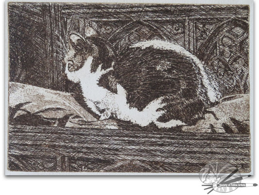 Cathedral Cat; Norwich