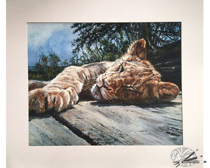 Young Lion Basking - Limited Edition Print
