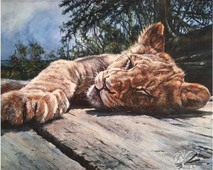 Young Lion Basking - Limited Edition Print