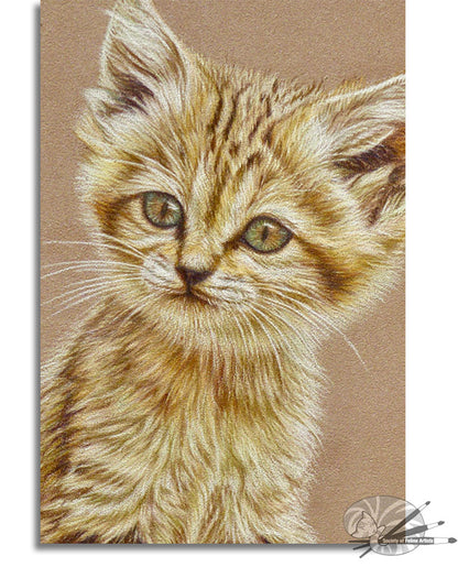 Cute Sand Kitten