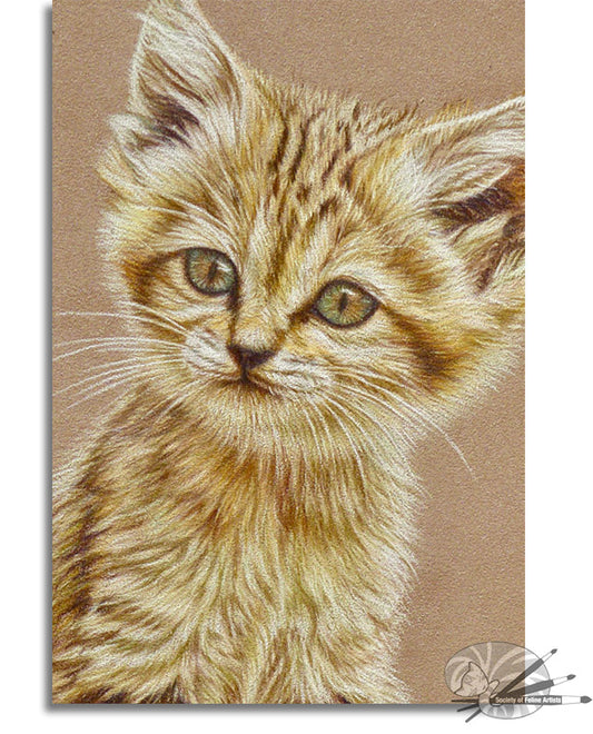Cute Sand Kitten