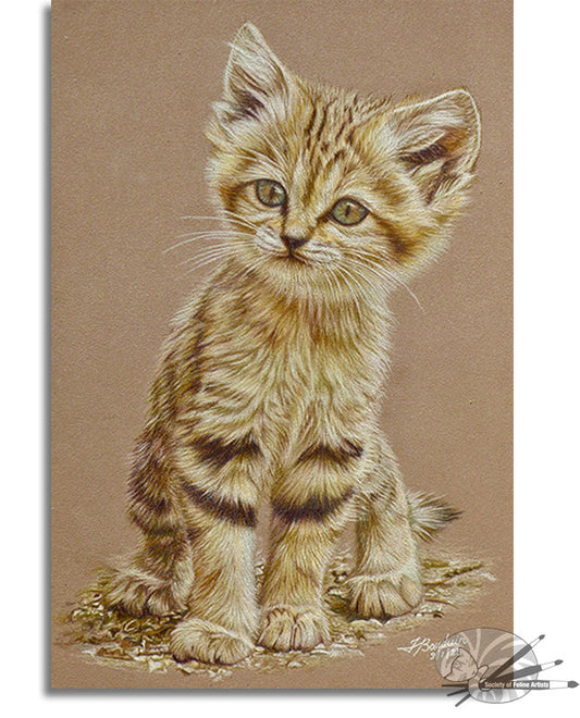 Cute Sand Kitten