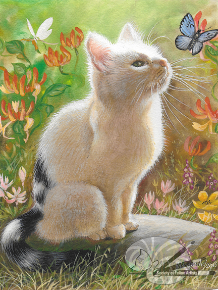 Wonderment