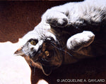 Load image into Gallery viewer, &#39;A Ray of Sunshine&#39; British Shorthair Blue Cream
