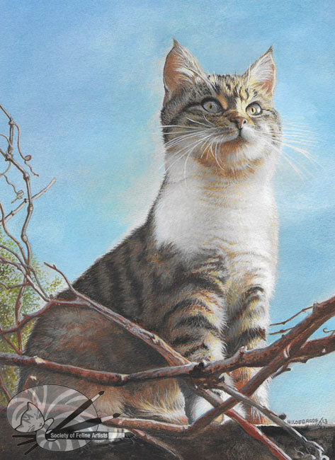 On The Lookout