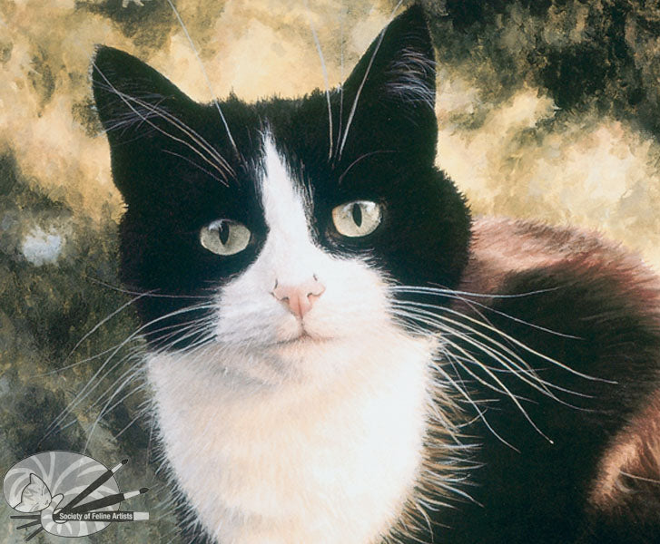 Jess - Tuxedo Cat Open Edition print