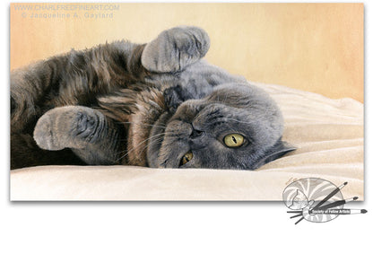 "A Warm Greeting" British Shorthair Blue Cream